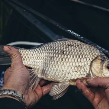 Фидер въдица SHIMANO AERO X1 Precision Feeder 11ft 335cm 70g 3pcs