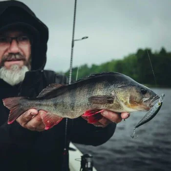 Воблер SHIMANO Yasei Trigger Twitch SP 90mm 11g Suspending