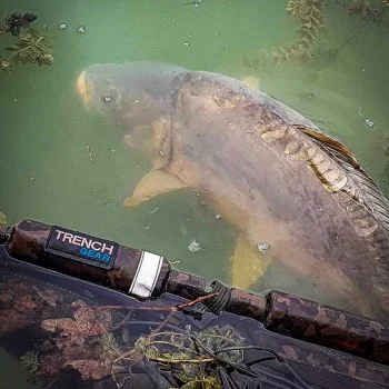 Сак за освобождаване SHIMANO Trench Calming Recovery Sling