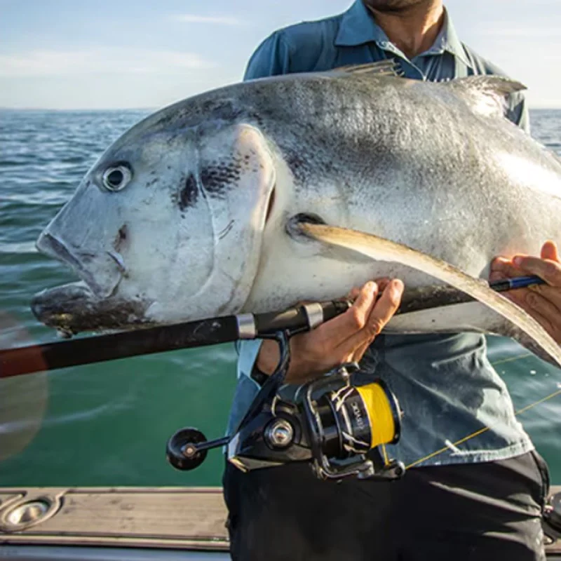 Макара преден аванс SHIMANO Stradic SW B 8000 PG