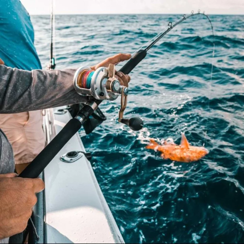 Мултипкикатор SHIMANO Talica 12lb Right Hand