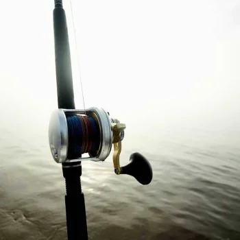 Мултипкикатор SHIMANO Talica 16lb Right Hand