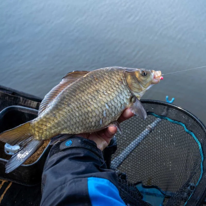 Уафтери SONUBAITS Micro Band'um Wafters Krill - Squid