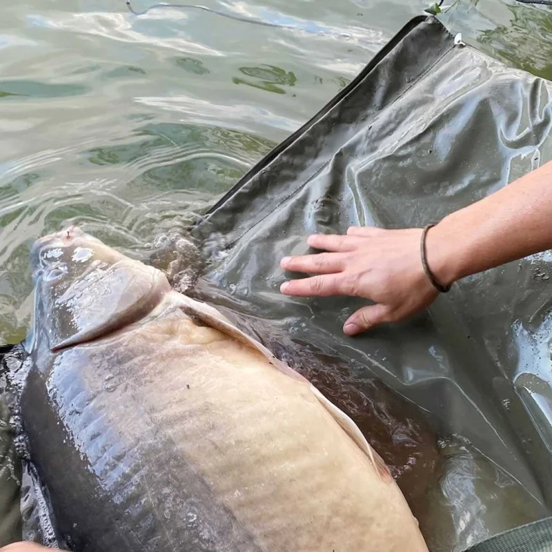 Carp дюшек STRATEGY Origami Mat