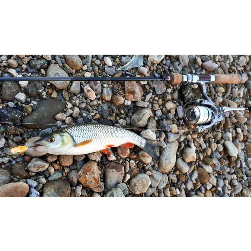 Спининг въдица TAILWALK Troutia 53L FSL 160cm 7g