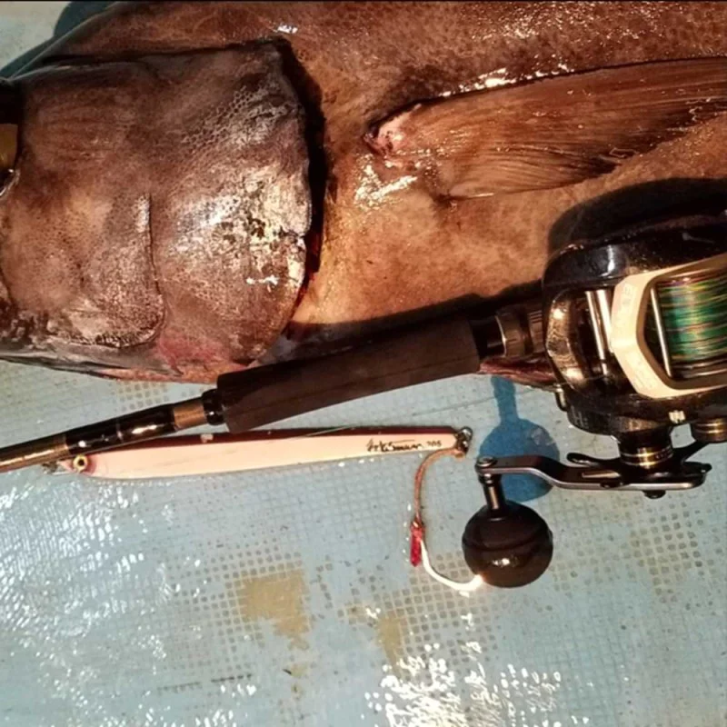 Мултипликатор TAILWALK Elan Wide Power 71BL