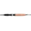 Спининг TROUT MASTER Passion Trout Spin 2.4m. 10g