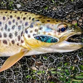 Инлайн клатушка TROUT MASTER Inline Spoon 1.5 g