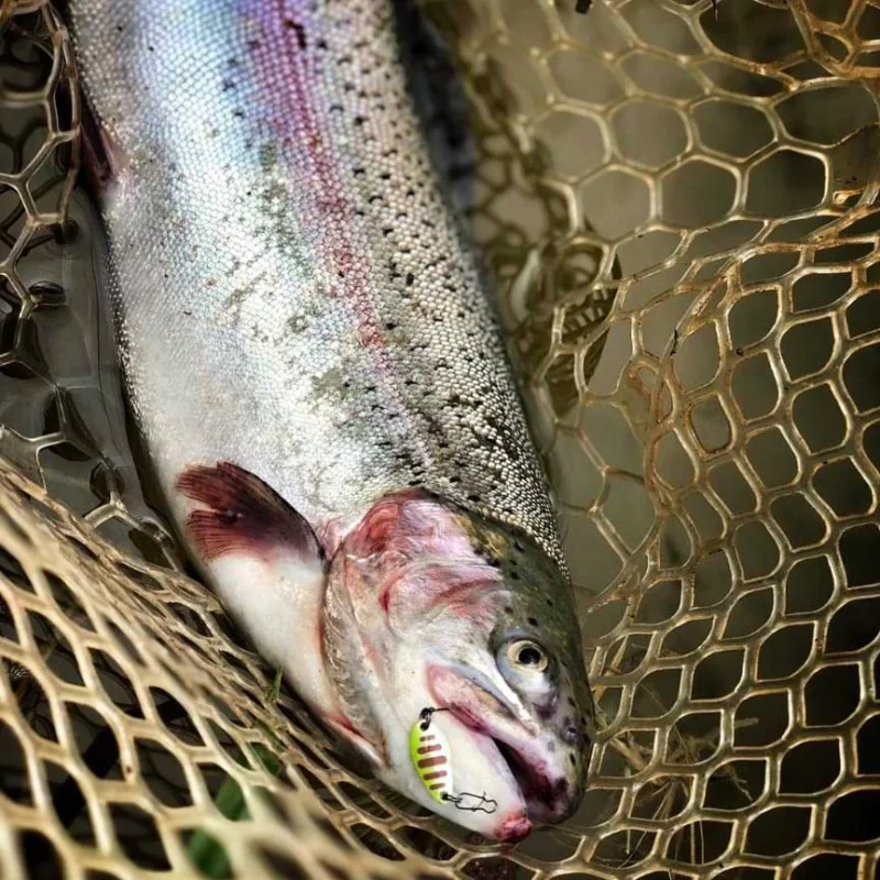 Клатушка TROUT MASTER Incy Spoon 1.5g