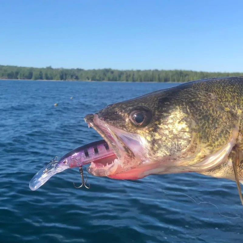 Воблер SPRO Madeye Minnow 120mm 14g