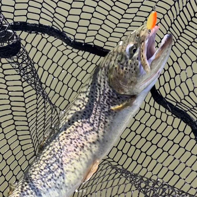 Клатушка VALKEIN Scheila 1.8g