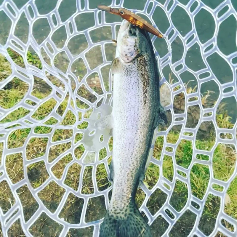 Воблер VALKEIN Schwan S 58mm 4.1g Sinking