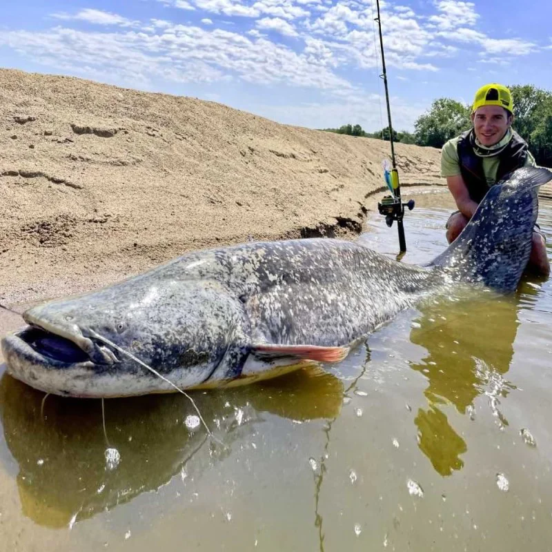 Воблер BLACK CAT Cranker 16cm 50g