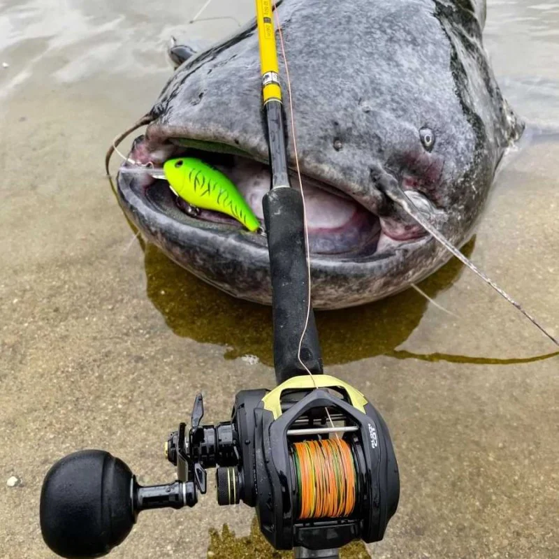 Воблер BLACK CAT Cranker 16cm 50g