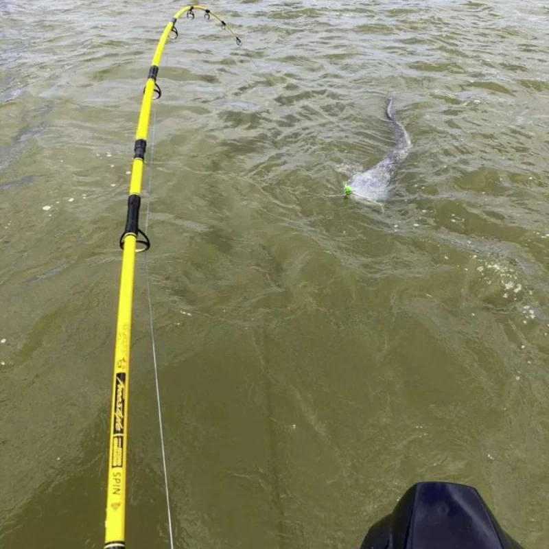 Воблер BLACK CAT Cranker 16cm 50g