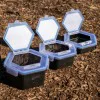 Кутия за стръв ZEBCO Secure-Lock Bait Box 1L
