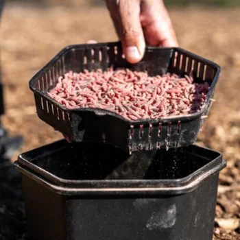 Кутия за стръв ZEBCO Secure-Lock Bait Box And Sieve 2L