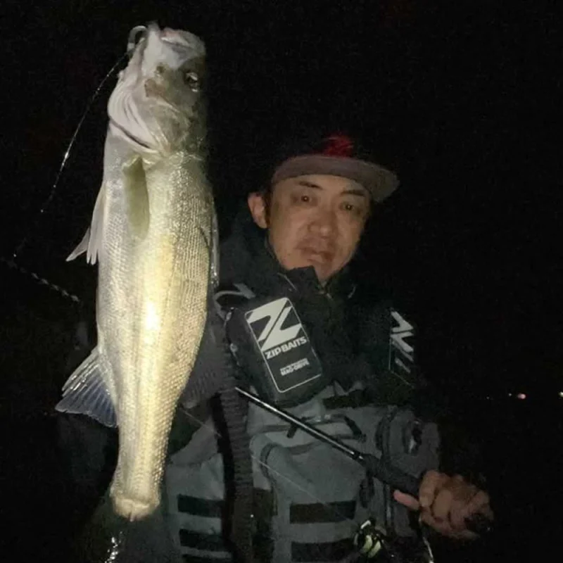 Воблер ZIP BAITS ZBL Raphael 45mm 4.5g Sinking