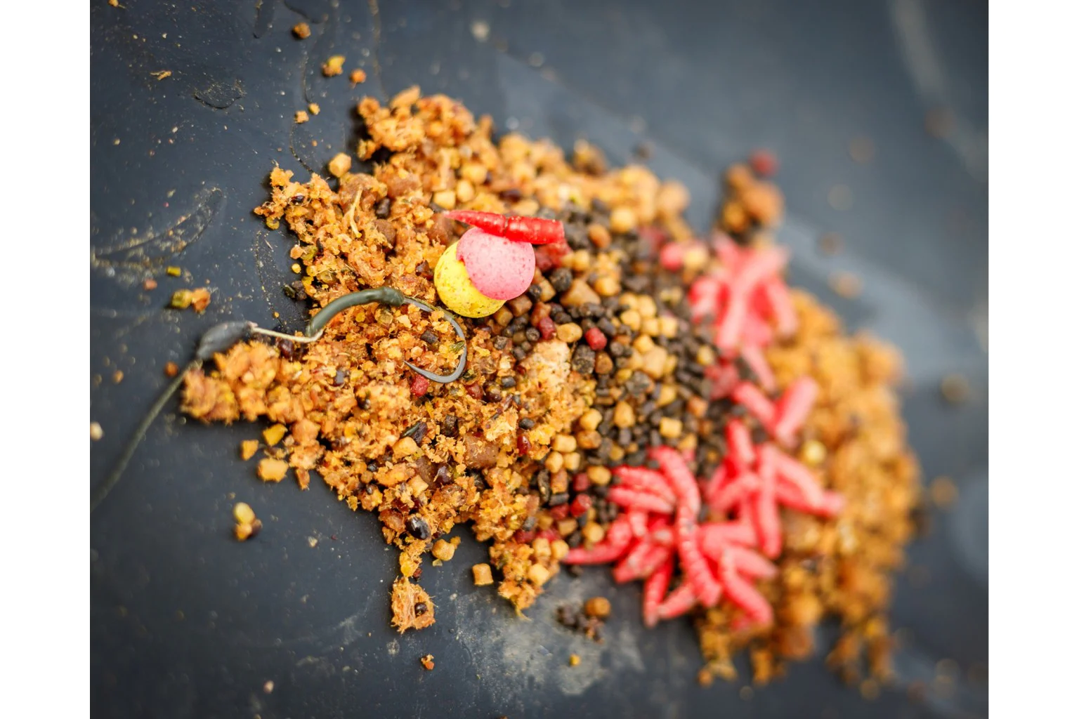 Риболовна тактика за пролетни шарани - подходът, който дава резултат