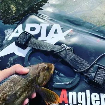 APIA Pakasuka Black M