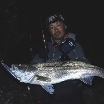 APIA Lammtarra Badel 105F 15g