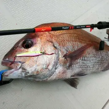 APIA Seiryu Hyper 40g