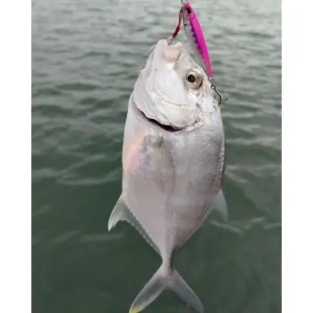 APIA Seiryu Bits 10g