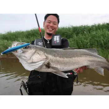 APIA Ailed'ore 115F 18g Floating