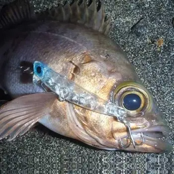 APIA Hydroupper 55S 5.5g