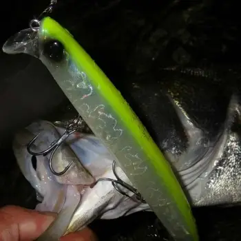 APIA Lammtarra Giant 177 43g