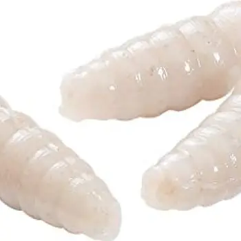 BERKLEY Powerbait Micro Power Maggots