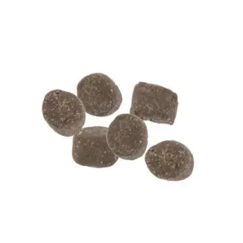 BERKLEY Powerbait Trout Nuggets