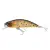Brown Trout -  - КОД : 1550625 