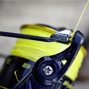 BLACK CAT Black Passion FD 80