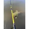 BLACK CAT Freestyle Pro Casting 220cm 50-180g