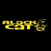BLACK CAT