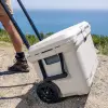 COLEMAN Pro Series 55QT Wheeled Cooler Box