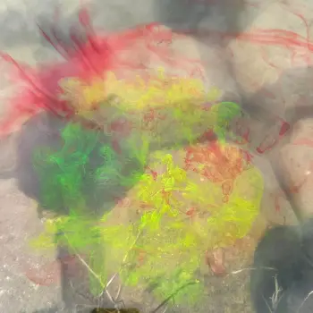 CHAMPION FEED Smoke 125 ml