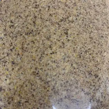 CHAMPION FEED Starter River 5kg