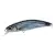 Saddled Bream - - КОД : 4525918091620 