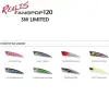 DUO Realis FangPop 120 SW 12cm 30g