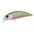 Tennessee Shad - - КОД : 4525918116873 