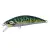 Green Mackerel - - КОД : 4525918128708 