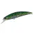 Green Mackerel - - КОД : 4525918130022 