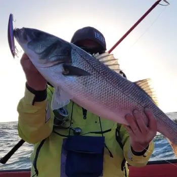 DUO Tide Minnow Lance 120S 17.5 gr