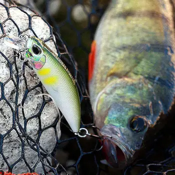 DUO Spearhead Ryuki - 45S