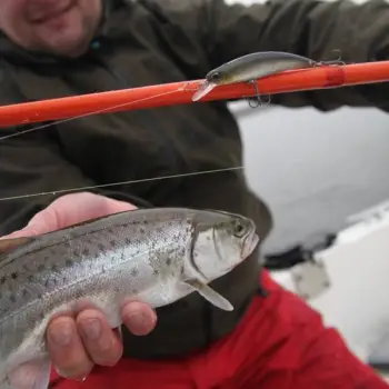 DUO Spearhead Ryuki - 60S SW