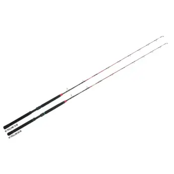 DAIWA NT Trolling 20 - 30lb