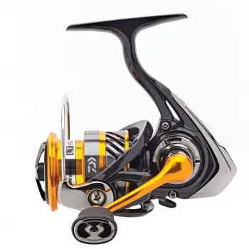 DAIWA 19 Revros LT 1000