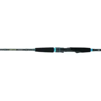 DAIWA 20 Legalis Squid 862M-BI 259cm #2.5 – 3.5
